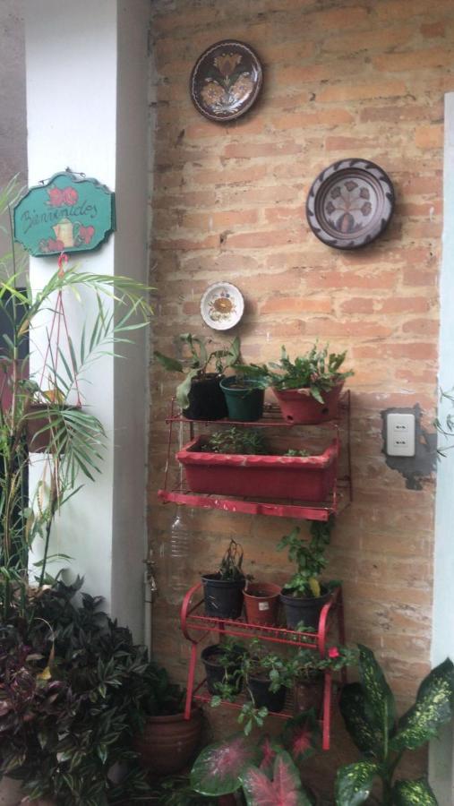 La Petite Maison De Diana Asunción Esterno foto