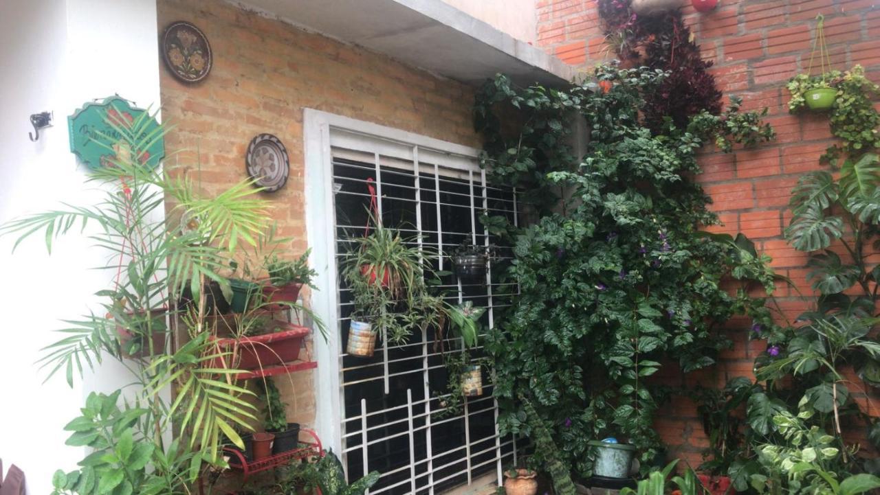 La Petite Maison De Diana Asunción Esterno foto