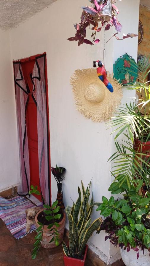 La Petite Maison De Diana Asunción Esterno foto