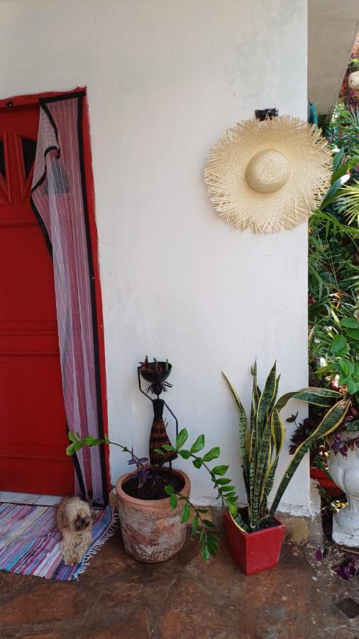 La Petite Maison De Diana Asunción Esterno foto