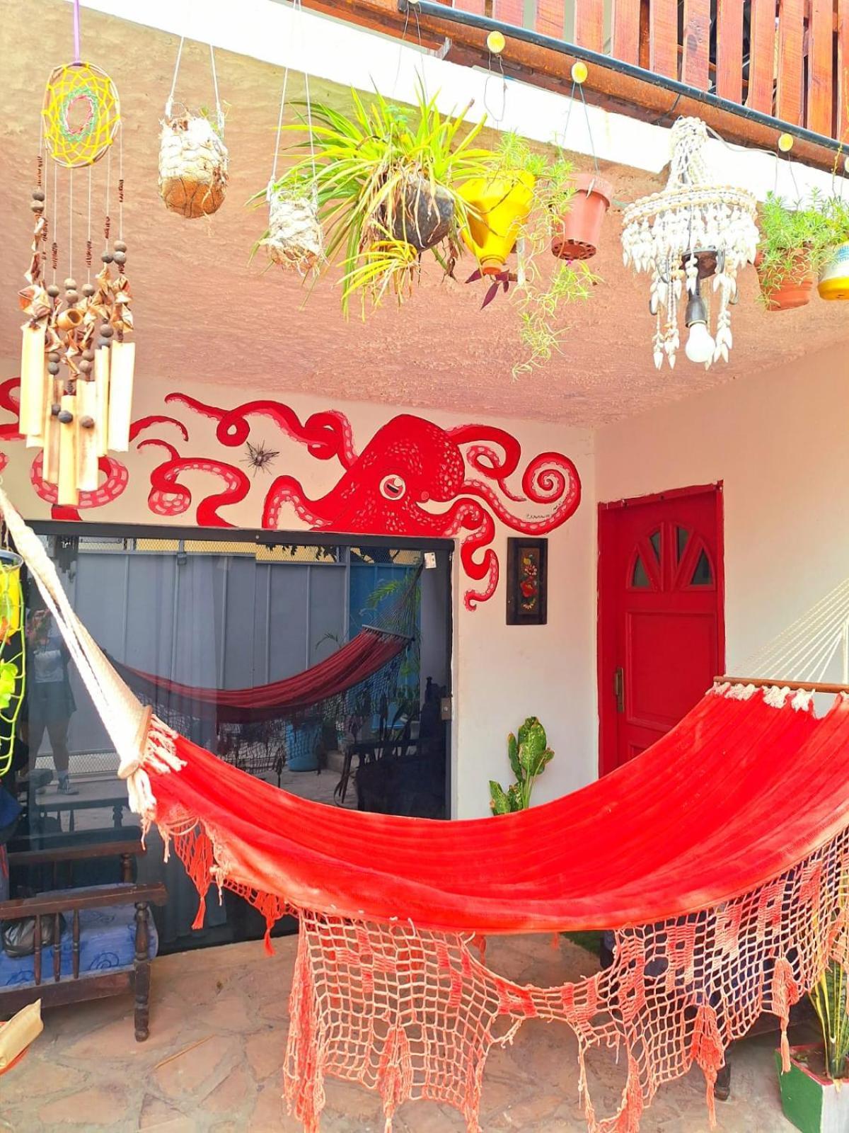 La Petite Maison De Diana Asunción Esterno foto