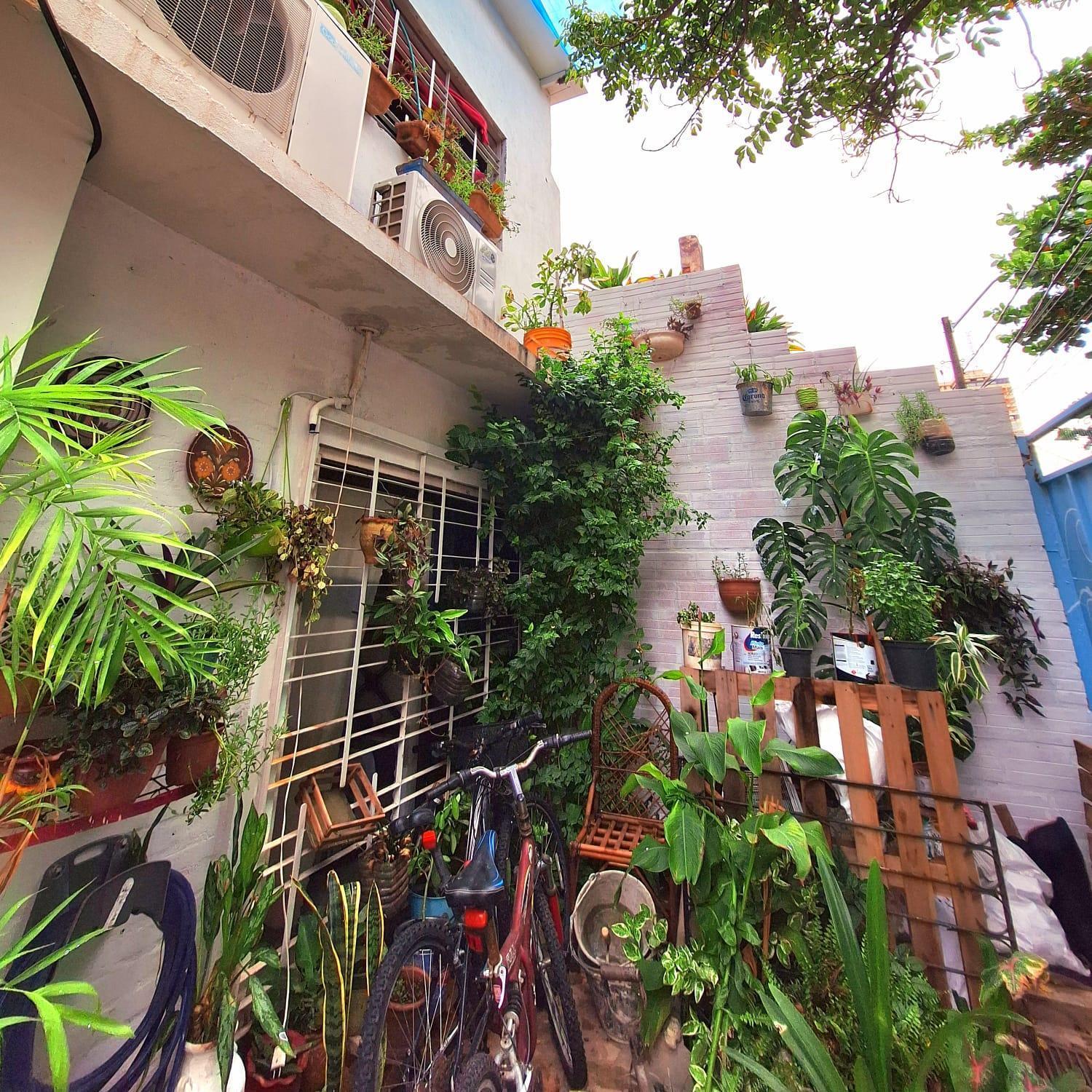 La Petite Maison De Diana Asunción Esterno foto
