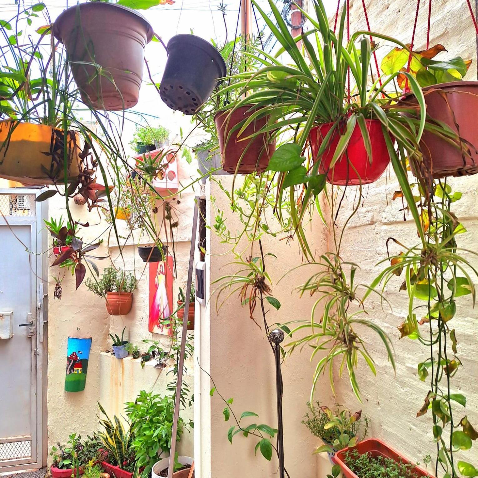 La Petite Maison De Diana Asunción Esterno foto